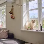 5 Person In Ferienhaus