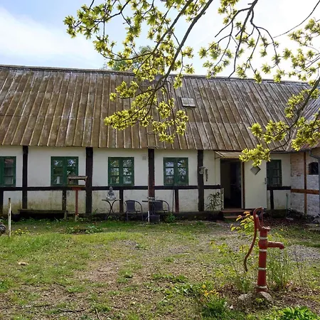 5 Person In Rønne