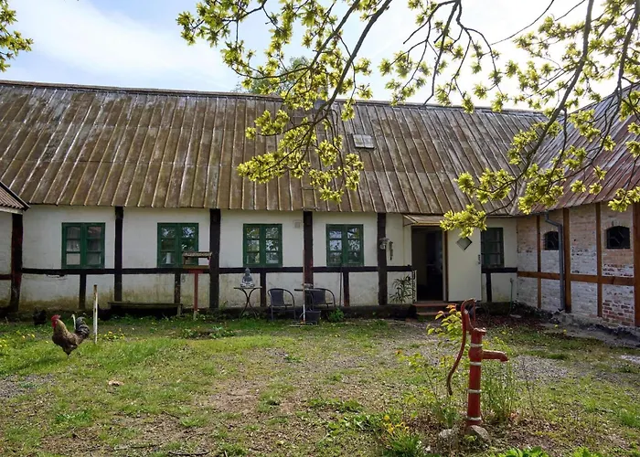 5 Person In Rønne